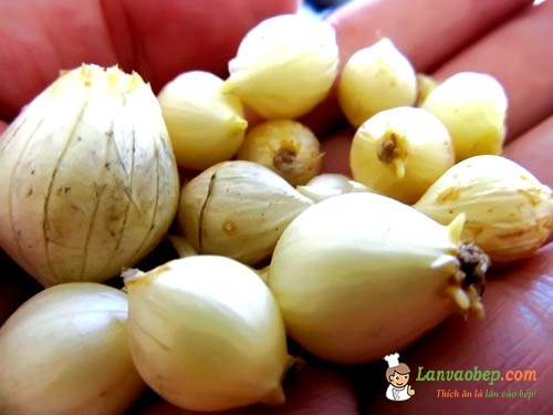 Cá lăng kho củ nén món lạ ngon cơm