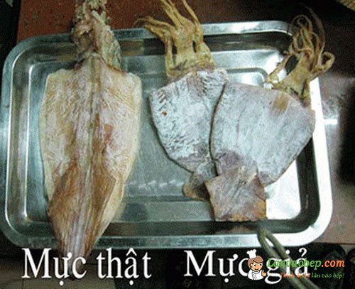 Mẹo phân biệt mực thật và mực giả