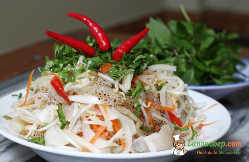 Món gỏi sứa