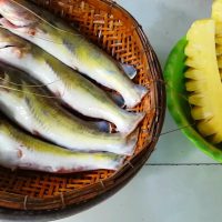 Gợi ý món ngon từ cá lăng